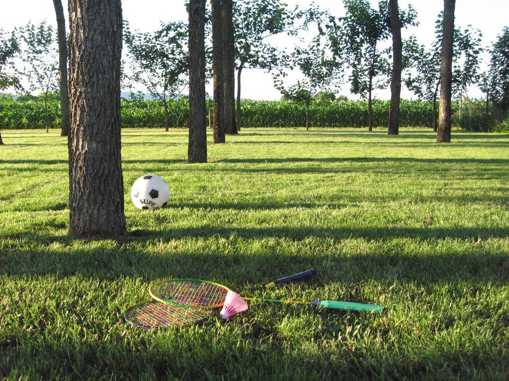 B&B Borgo Arcadia Poiana Maggiore ภายนอก รูปภาพ