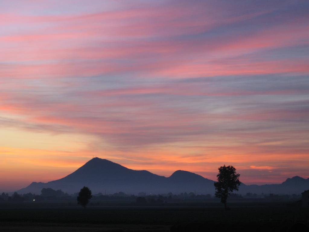 B&B Borgo Arcadia Poiana Maggiore ภายนอก รูปภาพ